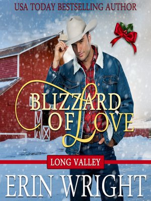 cover image of Blizzard of Love